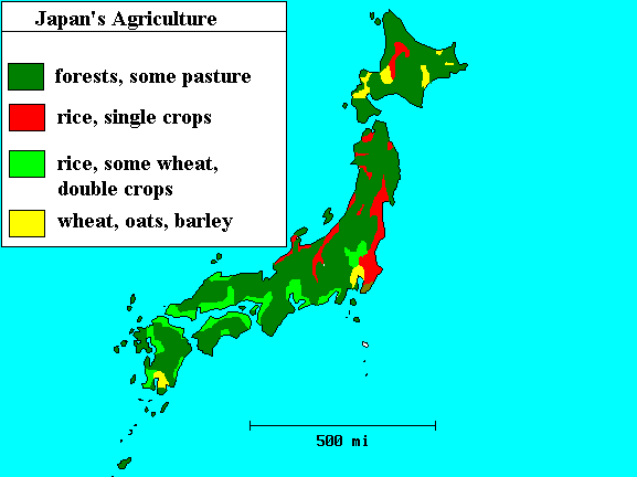 Japan Vegetation 41